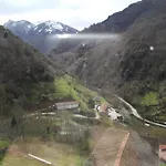 Oso3 * Pola de Somiedo
