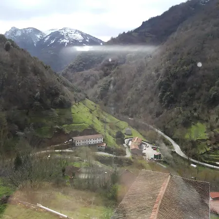 Oso3 * ポラ・デ・ソミエド