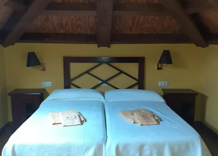 Oso3 * Pola de Somiedo