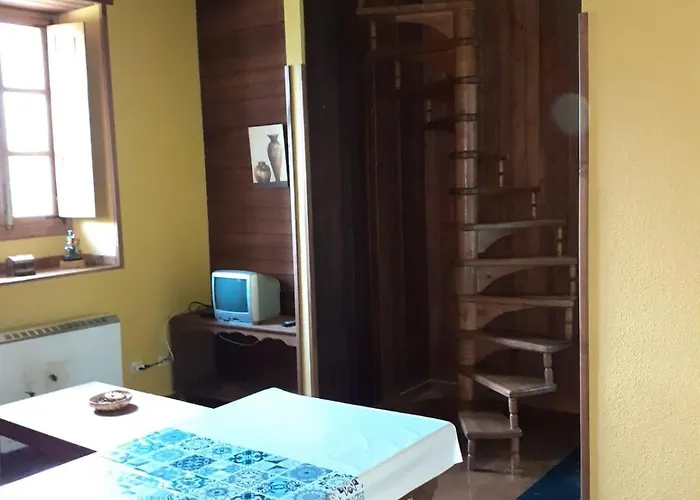 Oso3 Pola de Somiedo