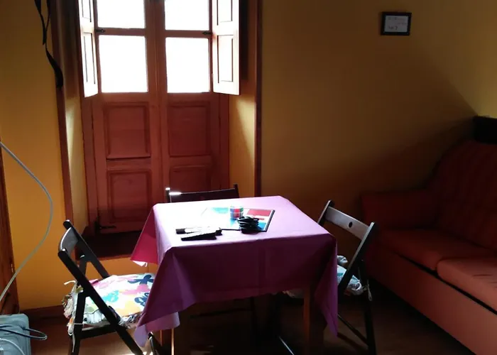 Oso3 Pola de Somiedo