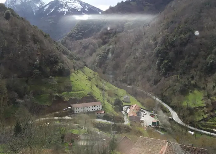 Oso3 * Pola de Somiedo